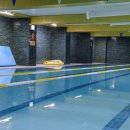 마이테르수영장 이미지