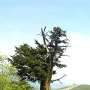 동산샘터 이미지