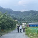 사회적협동조합 녹원 네이버블로그
