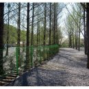 파주기산캠프 이미지