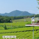 정약용의 남도 유배길(D코스) | 전라남도 먹방투어🍱 강진 가볼만한곳 여행 코스 오감통시장 맛집