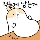 고기야놀자 - 성북구 동소문로2길 47 | 고기야놀자
