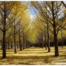 미산힐링 이미지