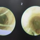 복음보청기 성남센터 이미지