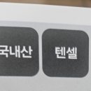 숙녀상의