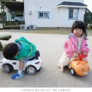 태안오션힐리조트 이미지