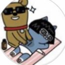 대전출장마사지스웨디시
