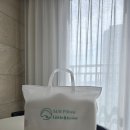 척추편한세상 | 유아베개 제대로 고르는 법! 목이 편한 닥터서동원 베개 후기