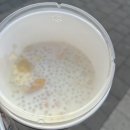쥬씨홍제역 | 홍제역 맛집, 고망고 추천 내돈내산