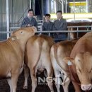 성보축산 이미지