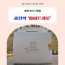과천에서 만나는 내추럴 수제 케이크, 화이트캐롯 방문기🍰