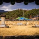 금성대군 이미지