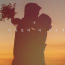 온마데 이미지