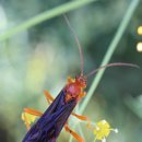 여가2 민박 이미지