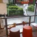 공원옆 동물병원 이미지