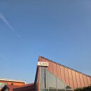 애견취향 | 안동애견카페 // 마실카페 개인취향