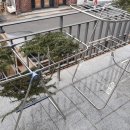 로즈마리 스머지스틱 만들기 이미지