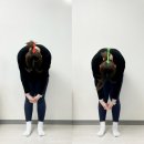 포레스트필라테스