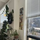 명성식당 이미지