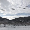 수진컴퓨터세탁소 | 수많은 일들 (여행, 행복)이 가득했던 2월 일기