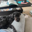 아산바른내과의원 이미지