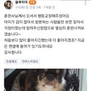 가히애견 이미지