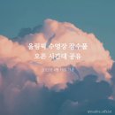 올림픽수영장 이미지