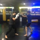 신촌킥복싱&MMA 이미지