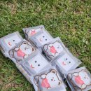햇살농원 애견 | 퇴실 밤8시까지? 영천 서원농원에서 아이랑 체험, 휴식 완벽(아쉬운 점 포함)