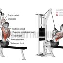 유성PT 용쓰짐 헬스장 이미지