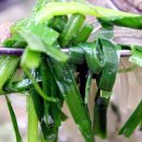 양평해장국수송현대점 이미지