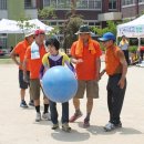 내기초등학교 이미지