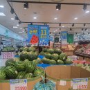 롯데쇼핑(주) 롯데마트 삼양점 | [롯데마트 전단]7월2째주 롯데마트 여름 맞이 할인 행사! 수박부터 랍스터까지 장보기 털어온 후기 🛒