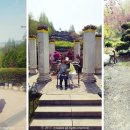 월선캠핑장 이미지