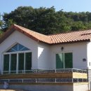 세종동부농협주유소 이미지