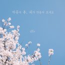 하늘스테이 이미지