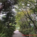 김천정월식당 이미지