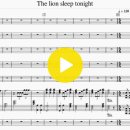 The lion sleep tonight_250701 악보 이미지