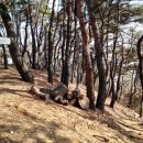 태을초등학교 이미지