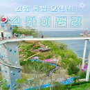 아찔한 오션뷰! 동해 묵호 도째비골 스카이밸리 자이언트 슬라이드 후기와 주차 팁