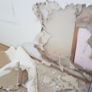 온누리건강하우스 이미지