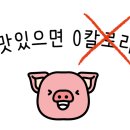 필라스타 이미지