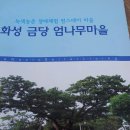 금당엄나무마을 이미지