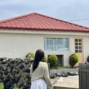 제주시절 이미지