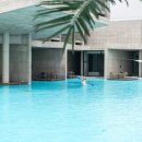 엘리스테이보령 이미지