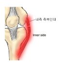 어베인휘트니스 이미지