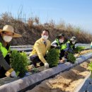 이명섭농장 이미지