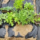 송가네종묘사 이미지