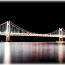 부산갈메기 이미지