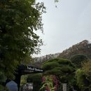 529 | 양평 내추럴가든529 돌잔치 출장후기~